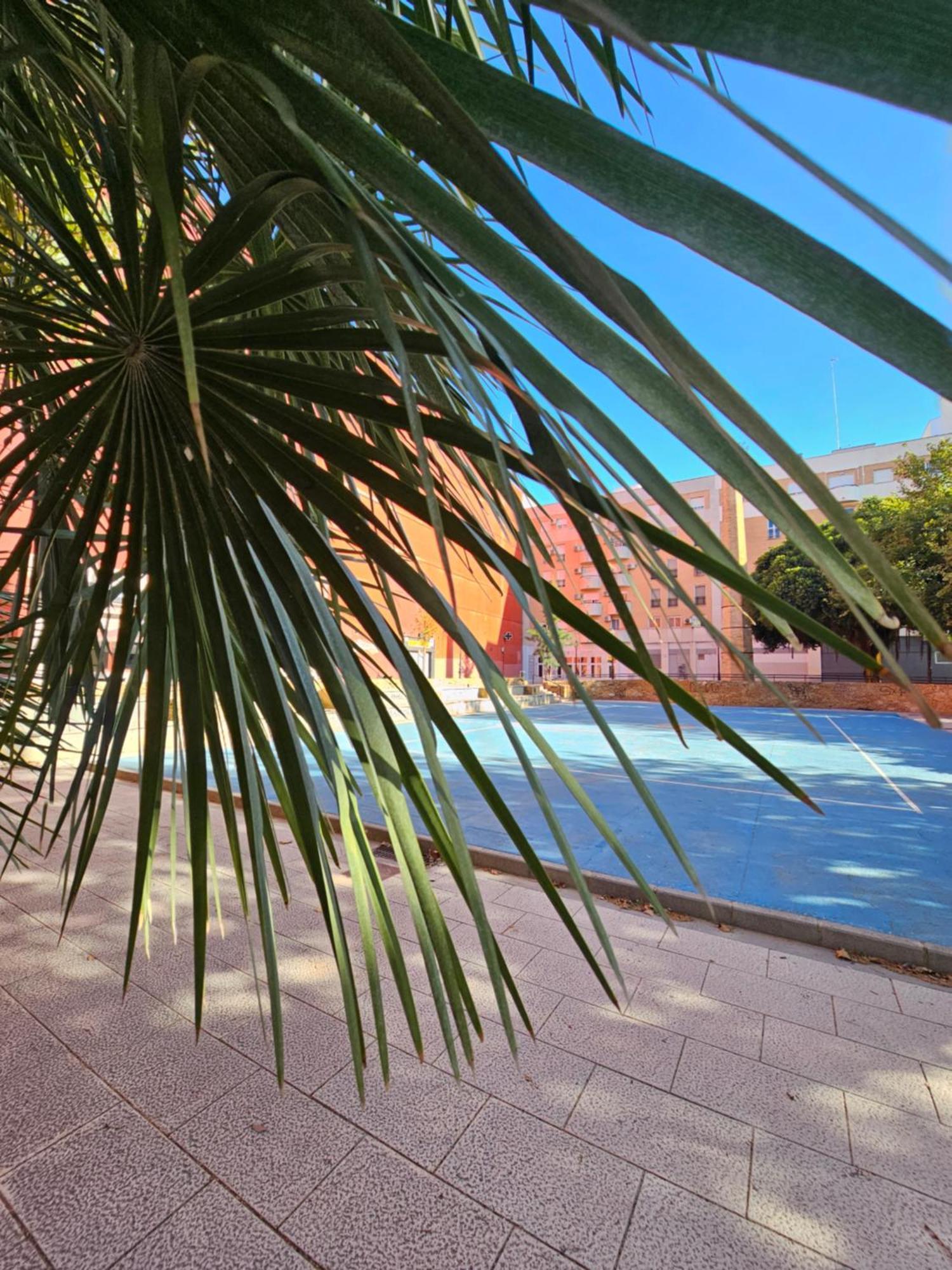 Lounge Garden Sea Mint Fresh Apartman Valencia Kültér fotó